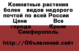 Комнатные растения более200видов недорого почтой по всей России › Цена ­ 100-500 - Все города  »    . Крым,Симферополь